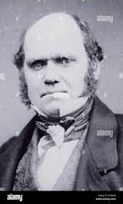 N/A. Charles Darwin in 1854, 5 years before he published The Origin of  Species. 1855. Maull&Polyblank 325 Charles Darwin Stock Photo