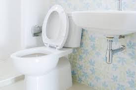 Also, we need to get an up flush toilet system that pushes the toilet upwards after the solid mass is broken down into tiny particles using a macerator. Upflush Toilet Reviews No Existing Plumbing No Problem Bargain Bathroom