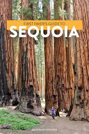 Maybe you would like to learn more about one of these? 15 Amazing Things To Do In Sequoia National Park Kings Canyon