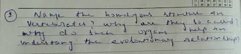 It plays a role in many conscious functions, including personality and. Describe Male Reproductive System Of A Man Draw A Labelled Diagram Of It