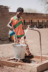 Image result for Wajira grahamiana