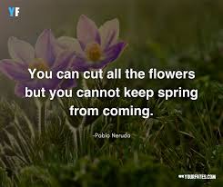 Browse our selection of flower quotes, including short flower quotes and spring flower quotes, to find your favorite. 110 Beautiful Flower Quotes To Make Your Life Bloom 2021