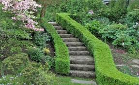 Damit lassen sich schöne akzente setzen und der garten sieht strukturierter aus. Gartentreppe Gestaltung Ideen Und Tipps Mein Schoner Garten