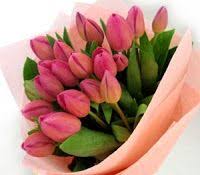 Toko bunga di jakarta menerima pesanan bunga papan ucapan selamat, duka cita, mawar, standing, valentine, dll | 02193000065. Bunga Tulip Untuk Kado Cinta Toko Bunga By Florist Jakarta Bunga Tulip Bunga Gambar Bunga