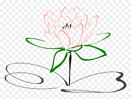 There are tons of great resources for free printable color pages online. Stem Drawing Lotus Flower Water Lily Coloring Pages Hd Png Download Vhv