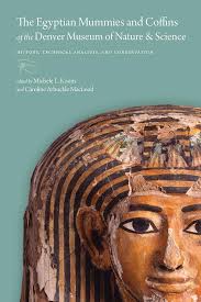 Amazon.co.jp: The Egyptian Mummies and Coffins of the Denver Museum of  Nature & Science: History, Technical Analysis, and Conservation : Koons,  Michele L., Macleod, Caroline Arbuckle: Foreign Language Books