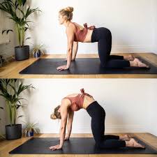 It involves moving the spine from a rounded position (flexion) to an arched one (extension). Cat Cow Pose Bitilasana Marjaryasana Step By Step Fitzabout