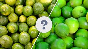 Though lime and lemon have similar acidic levels, it is proven that limes are more acidic than lemons due to slightly lower ph values. Limes And Key Limes What Is The Difference