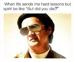 Stahp Funny Spiritual Memes Spirituality Humor