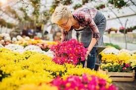 Whether you're looking for cedar, a sturdy oak, elm. The 11 Best Garden Centers And Nurseries In Oklahoma