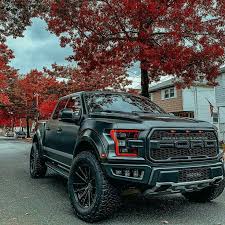 In case you needed proof, ford tested its grit at extreme temperatures, on steep inclines and in unbearably rugged conditions. Pin By Brad Wolsey On Maria Ford Raptor Ford Pickup Trucks Ford Pickup