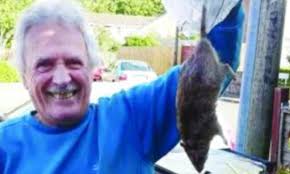Swindon man fights off 2ft long super rat terrorising his home