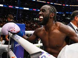 Terence Crawford's career-defining win over Canelo Álvarez was a victory  for substance over style | Boxing | The Guardian