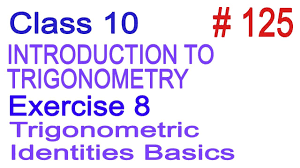 Trig terror's season 2.0 appearance. Class 10 Ncert Maths Chapter 8 Introduction To Trigonometry Trigonometric Identities Basics Youtube