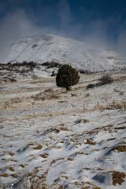 ورفعت هذه الحصيلة العدد الإجمالي للمصابين بالفيروس في المغرب إلى 759456. Ø«Ù„ÙˆØ¬ ÙˆØ·Ø±Ù‚ Ù…Ù‚Ø·ÙˆØ¹Ø© ÙÙŠ Ø£Ø¹Ø§Ù„ÙŠ Ø¹ÙƒØ§Ø± Ù…ÙˆÙ‚Ø¹ Ù‚Ù†Ø§Ø© Ø§Ù„Ù…Ù†Ø§Ø± Ù„Ø¨Ù†Ø§Ù†