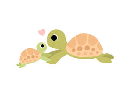 Download Baby Turtle Cliparts Stock Vector And Royalty Free Baby Turtle Illustrations