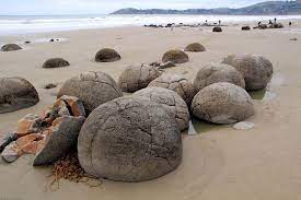 See all things to do. Boulders Beach Moeraki Boulders Beach Scene