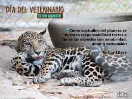 Check spelling or type a new query. Profepa On Twitter 17 De Agosto En Mexico Se Celebra El Dia Del Medico Veterinario Zootecnista Felizlunes Diadelveterinario Http T Co Ju7sayvfli