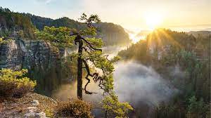 You can also upload and share your favorite nature 4k wallpapers. 3840x2160 4k Nature Wallpaper Dump Data Id 139651 Cool Nature Wallpapers 4k 3840x2160 Download Hd Wallpaper Wallpapertip