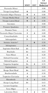 1 Manual Muscle Test Mmt And Electrical Excitability Test