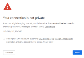 Please create a record in google calendar first, then try again.. Net Err Cert Revoked Error In Google Chrome Fix It In Minutes