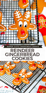 Get the recipe and instructions at she knows. Reindeer Gingerbread Cookies Upside Down Gingerbread Man Reindeer Cookies Big Bear S Wife