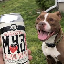 qik n ez grand rapids mi venue photos untappd untappd