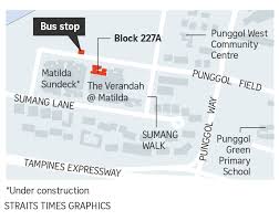 Punggol murder suspect reportedly suffers from mental illness. Man Dies After Being Stabbed Along Punggol Field In Suspected Murder Courts Crime News Top Stories The Straits Times