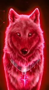 Check spelling or type a new query. Cool Wolf Background Kolpaper Awesome Free Hd Wallpapers