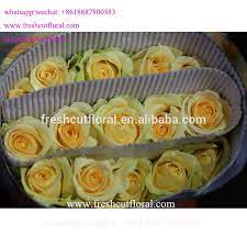 Maybe you would like to learn more about one of these? Best Wholesale Distributors Of The Highest Quality Fresh White Roses Cut Fresh Flowers Flower Bouquets For Weddings Buy Fresh Cut Rose Flowers Fresh Cut Flowers Pictures Fresh Cut Flowers Product On Alibaba Com