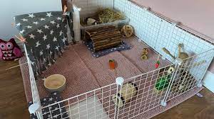 Diy And C Cages For Guinea Pigs