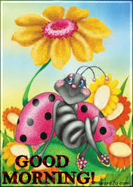 I woke up this morning to find this sweet little ladybug wandering lost in our bathroom. Good Morning Doodle Art Ladybug Childrens Illustrations