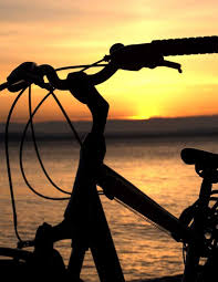 Radtour Ugljan Fahrrad Fahren Auf Der Oliven Insel Ausfluge Kroatien Radtour Kroatien Urlaub Kroatien