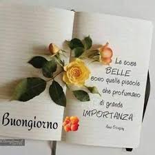 Risultato immagini per fiore con scritta a penna per saluti