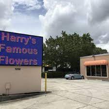 30% off on flowers and gifts. Harry S Famous Flowers 110 Photos 41 Reviews Florists 1252 N Semoran Blvd Orlando Fl Phone Number Products Yelp