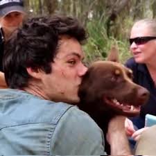 Laura Maletta (@LauraMaletta)