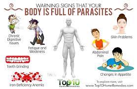 10 Warning Signs That Your Body Is Full Of Parasites Top 10 Home Remedies Warning Signs Top 10 Home Remedies Parasite
