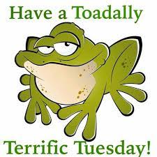 Go through some funny memes, graphics, and sayings about tuesday to share on with your colleagues on facebook, pinterest. Happy Tuesday To You Tuesday Quotes Good Morning Happy Tuesday Quotes Tuesday Humor