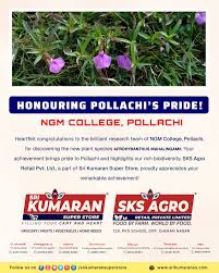 Image result for Afrohybanthus