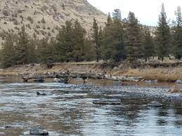 Take route 3 to cranberry lake village, turn left on lone pine road; Lone Pine Campground Bureau Of Land Management