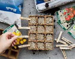 We did not find results for: Odla Tomater Sa Lyckas Du Med Din Tomatodling Hemma Weibulls