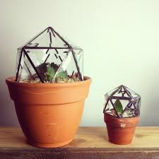 Moon To Moon Window Terrarium Glass Crafts Geodesic Dome Greenhouse