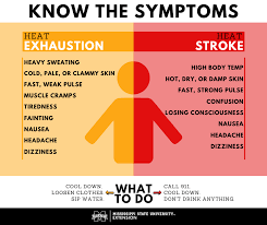 Dizziness may be accompanied by nausea and vomiting, perspiration or a cold sweat, imbalance, and fainting. How To Recognize Heat Related Illness Mississippi State University Extension Service