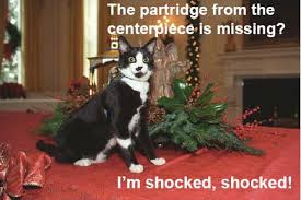Image result for lolcats
