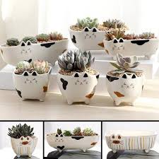 Pin By N On Ceramic Vase Ceramic Flower Pots Diy Flower Pots Ceramic Flowers