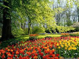 Coryn Smith Beautiful Flowers Garden Most Beautiful Gardens Spring Flowers Wallpaper