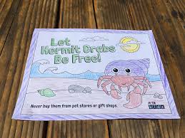 Sea life animals cartoon coloring page vector. Hermit Crab Coloring Sheets Activities Peta Kids