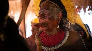 Indigenous peoples, also referred to as first people, aboriginal people, native people, or autochthonous people, are culturally distinct ethnic groups who are native to a particular place. Coronavirus Could Wipe Out Brazil S Indigenous People Bbc News