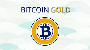 Bitcoin Gold Price Changed With 11 54 Bgold Price Chart