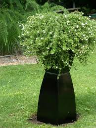 Bird Bath Well Cover Ebd6f1742065c94fe9ea15468d4861c9 Jpg 736 981 Septic Tank Covers Well Pump Cover Well Pump